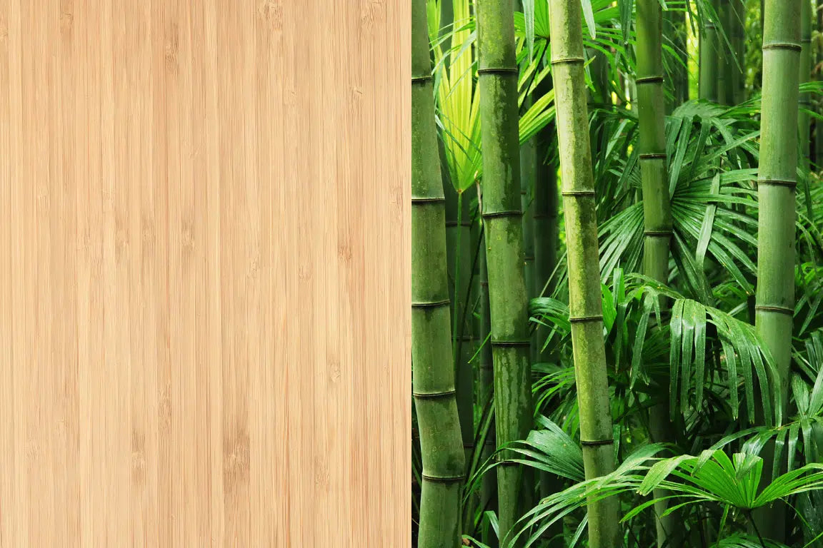 Bambus im Büro: Nachhaltige Möbel mit Zukunft