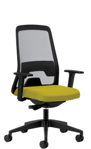Bürodrehstuhl Everyis1 - Reoffice