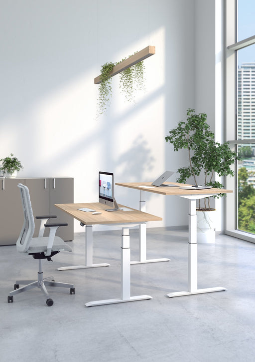 Elektrisch höhenverstellbarer Schreibtisch Active - Reoffice