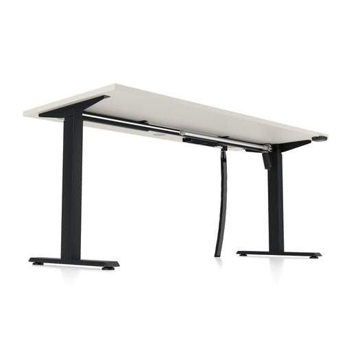 Elektrisch höhenverstellbarer Schreibtisch eComo - Reoffice